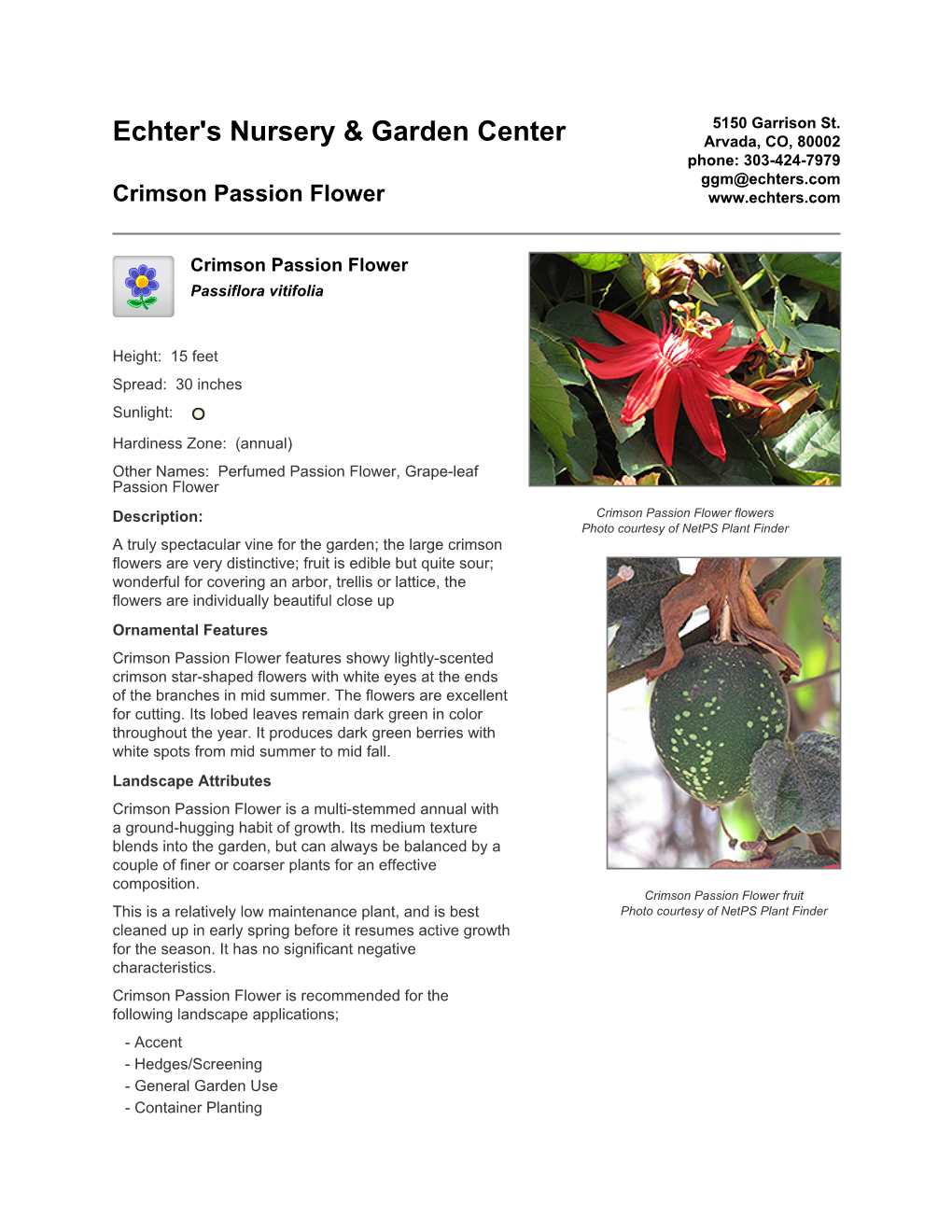 Echter's Nursery & Garden Center Crimson Passion Flower