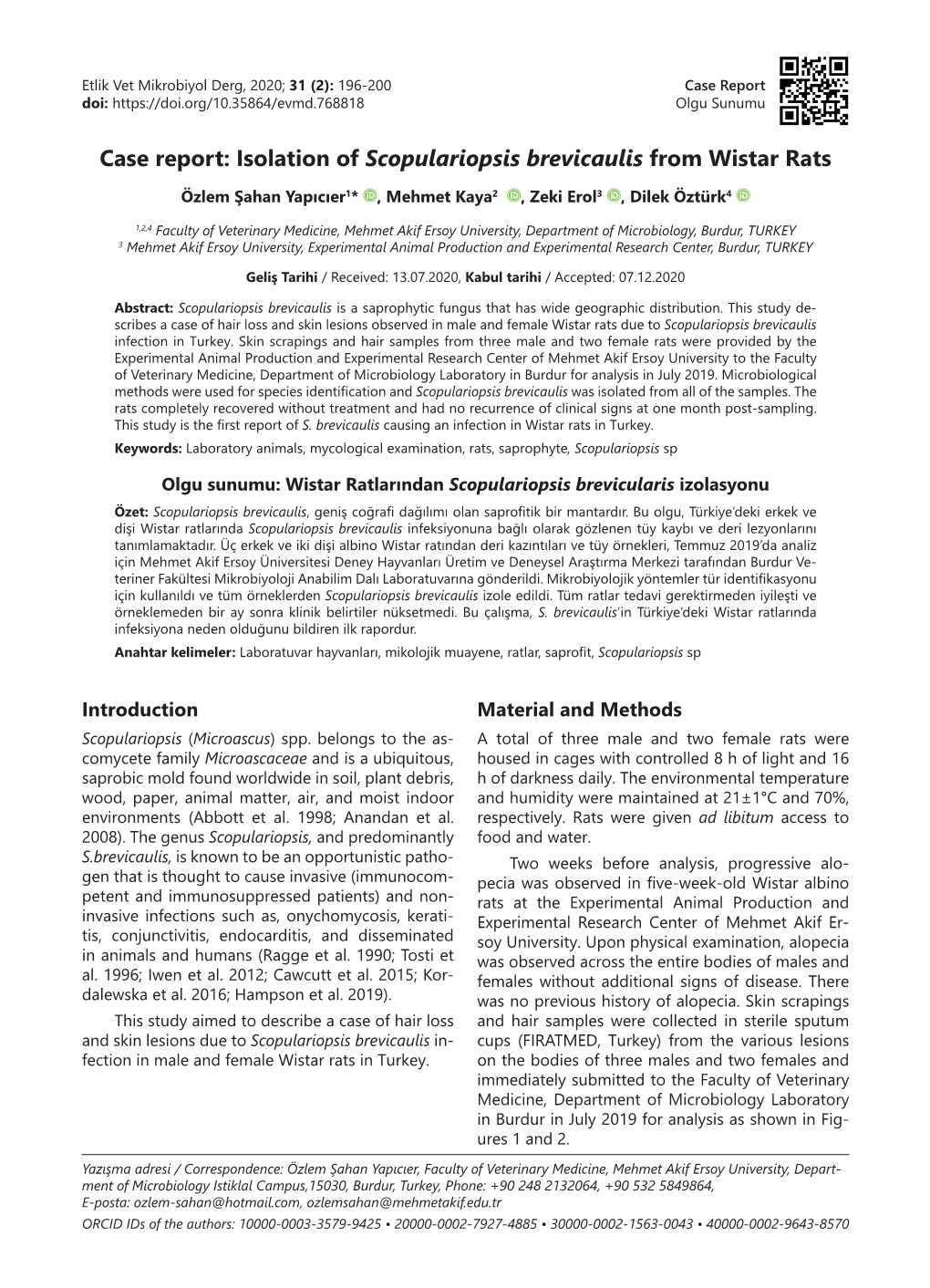 Isolation of Scopulariopsis Brevicaulis from Wistar Rats