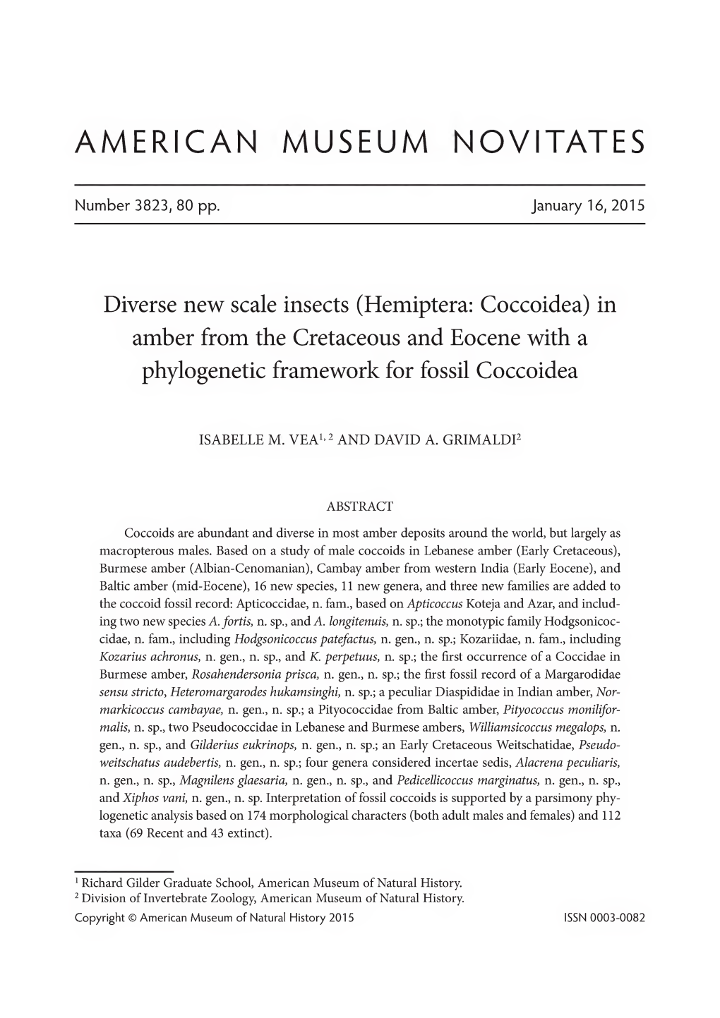 Diverse New Scale Insects (Hemiptera, Coccoidea) in Amber