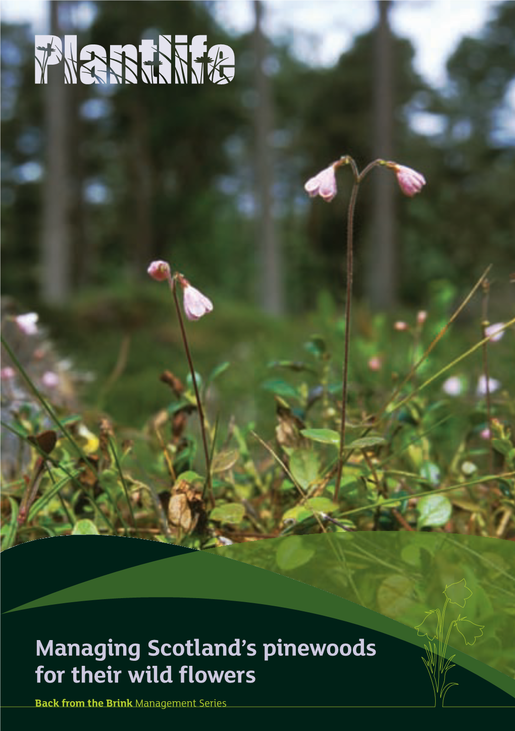 Managing Scotland's Pinewoods for Their Wild Flowers