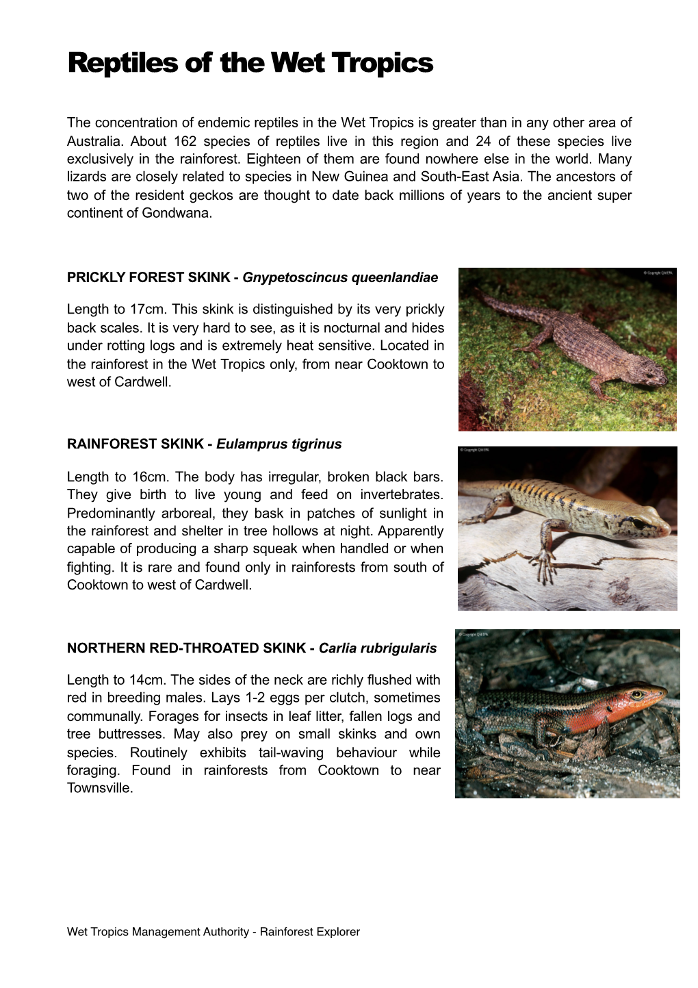 Reptiles of the Wet Tropics