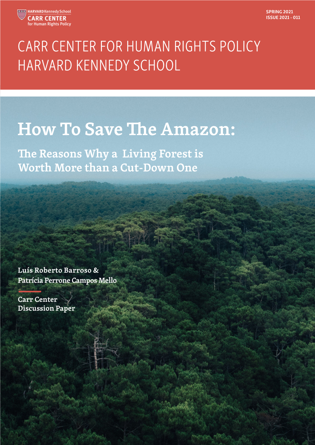How to Save the Amazon: the Reasons Why a Living Forest Is Worth More Than a Cut-Down One
