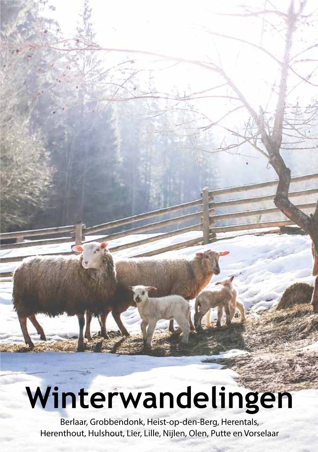 Winterwandelingen