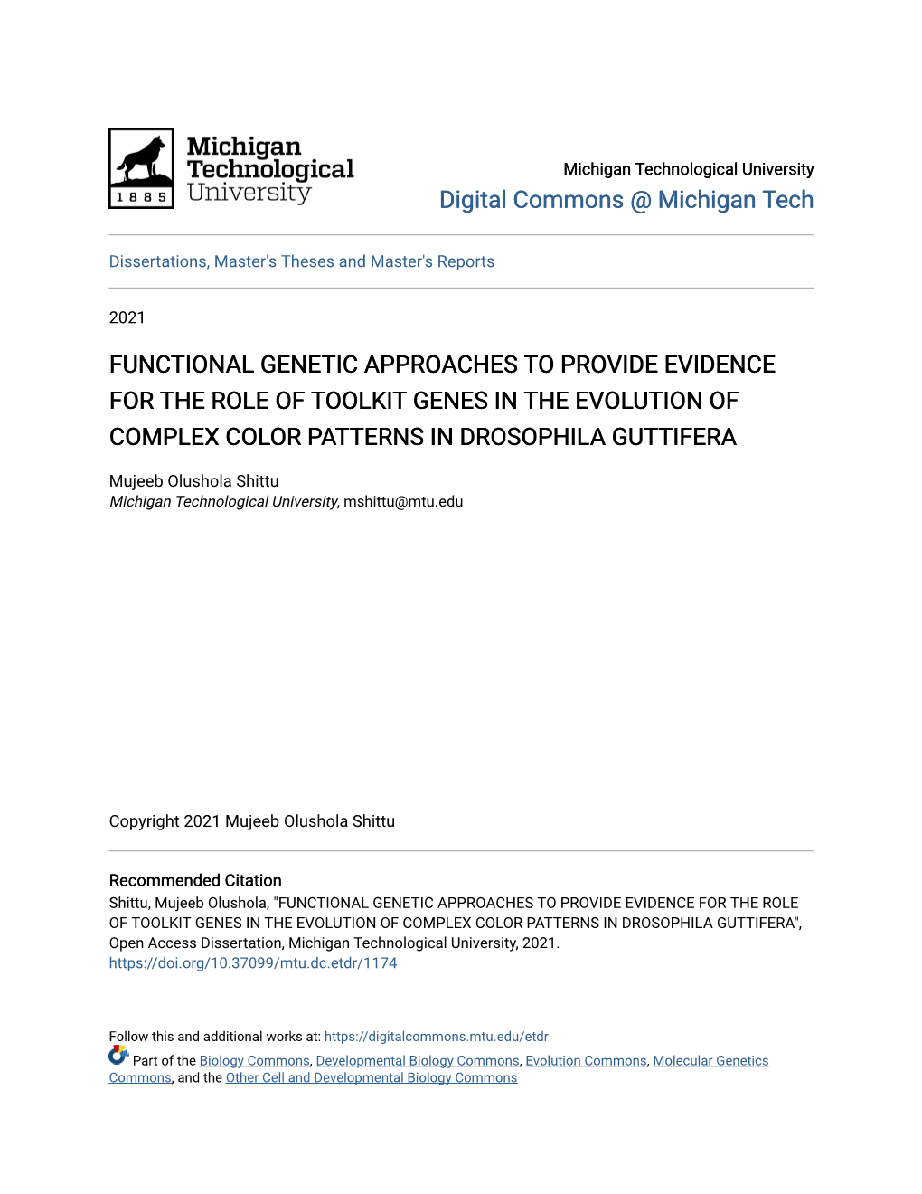 Functional Genetic Approaches to Provide Evidence for the Role of Toolkit Genes in the Evolution of Complex Color Patterns in Drosophila Guttifera