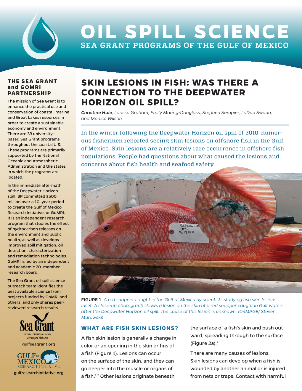 Skin Lesions in Fish