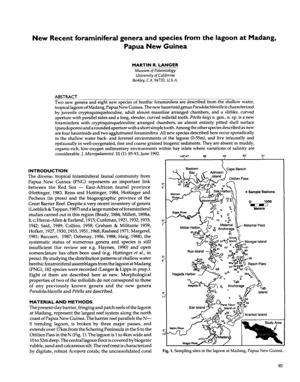 New Recent Foraminiferal Genera and Species from the Lagoon at Madang, Papua New Guinea