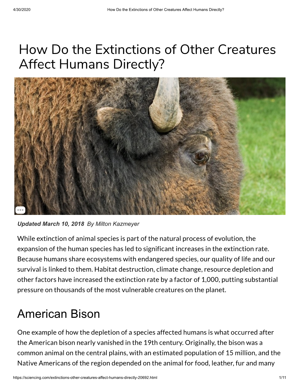 How Do the Extinctions of Other Creatures Affect Humans Directly?