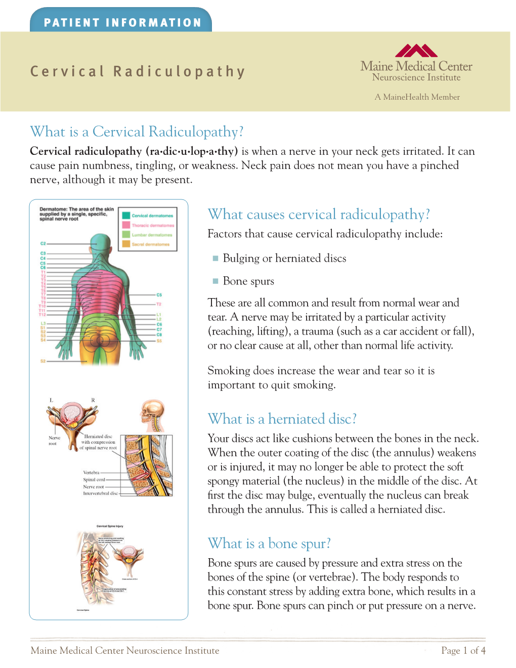 Patient Information