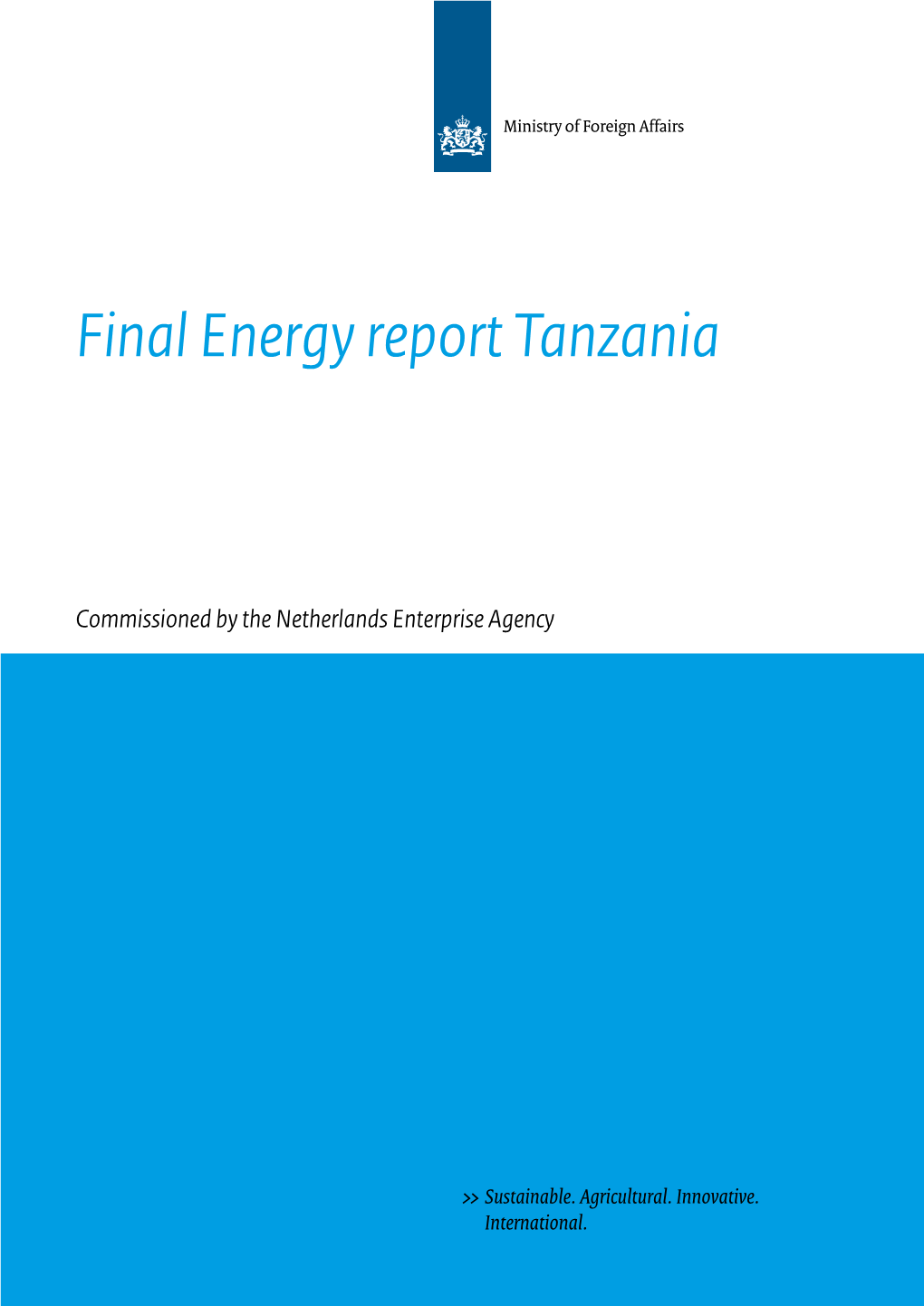 Final Energy Report Tanzania