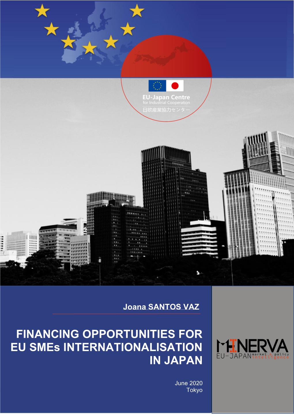 FINANCING OPPORTUNITIES for EU Smes INTERNATIONALISATION in JAPAN