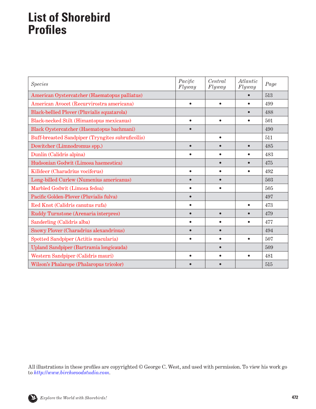 List of Shorebird Profiles