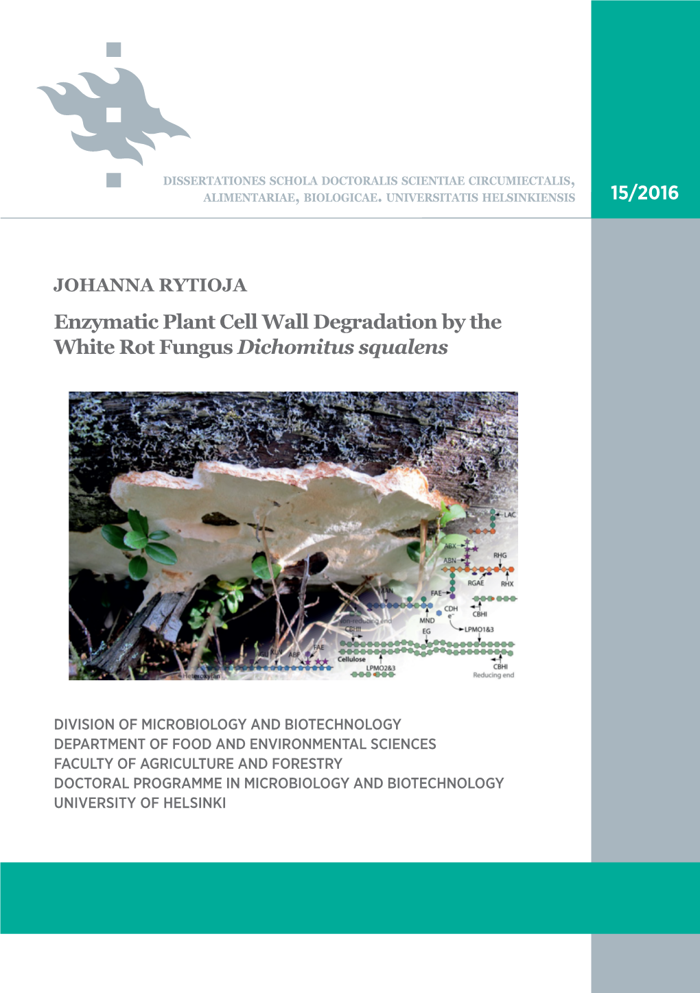 Enzymatic Plant Cell Wall Degradation by the White Rot Fungus Dichomitus Squalens