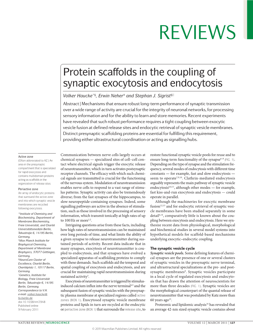 Protein Scaffolds in the Coupling of Synaptic Exocytosis and Endocytosis