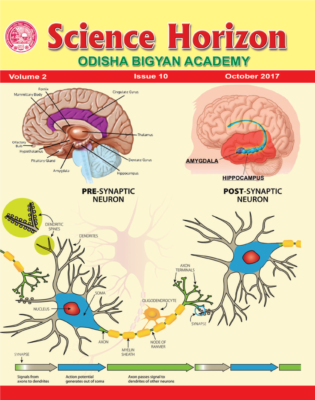 Circadian Rhythm Prof