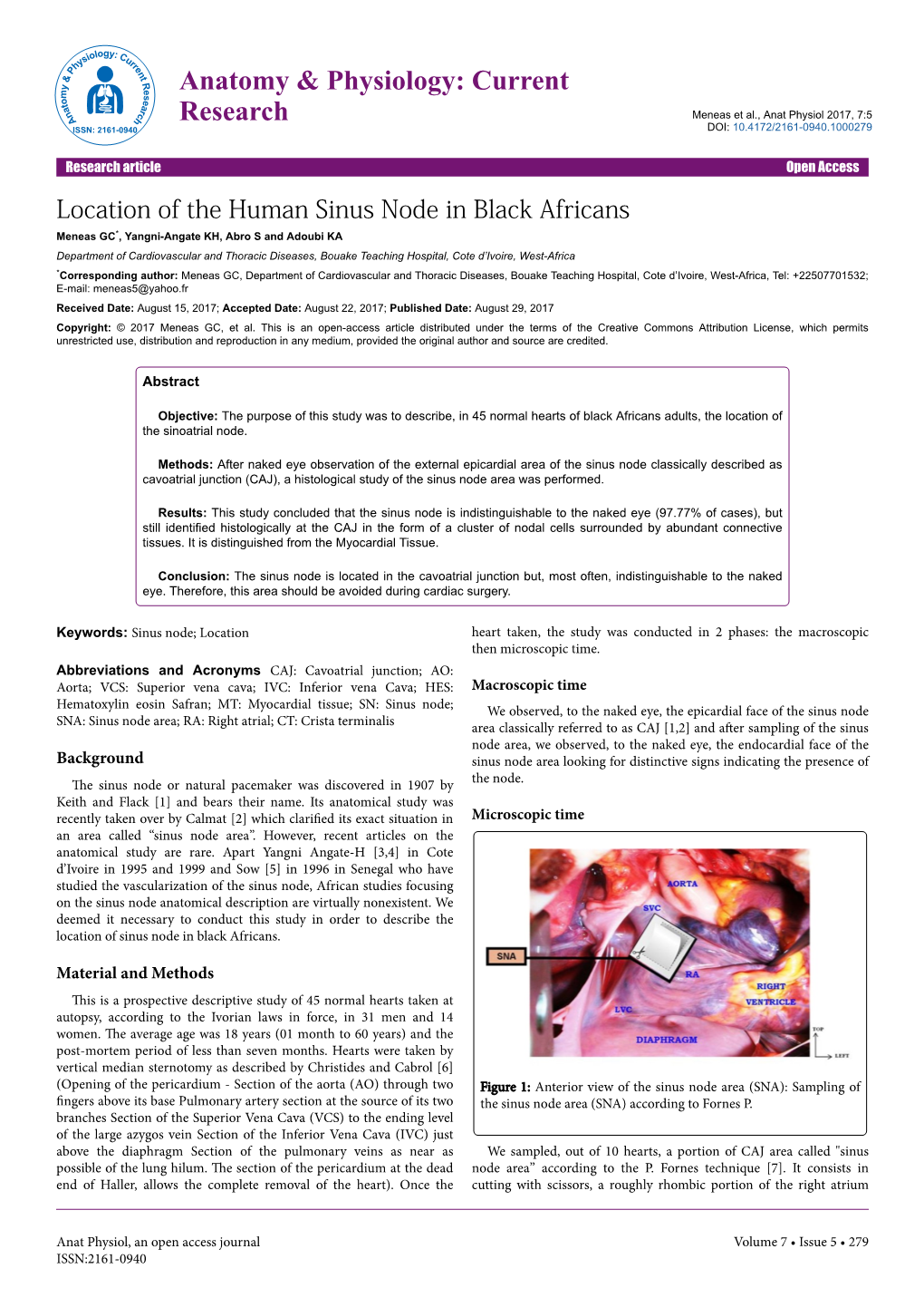 Location of the Human Sinus Node in Black Africans