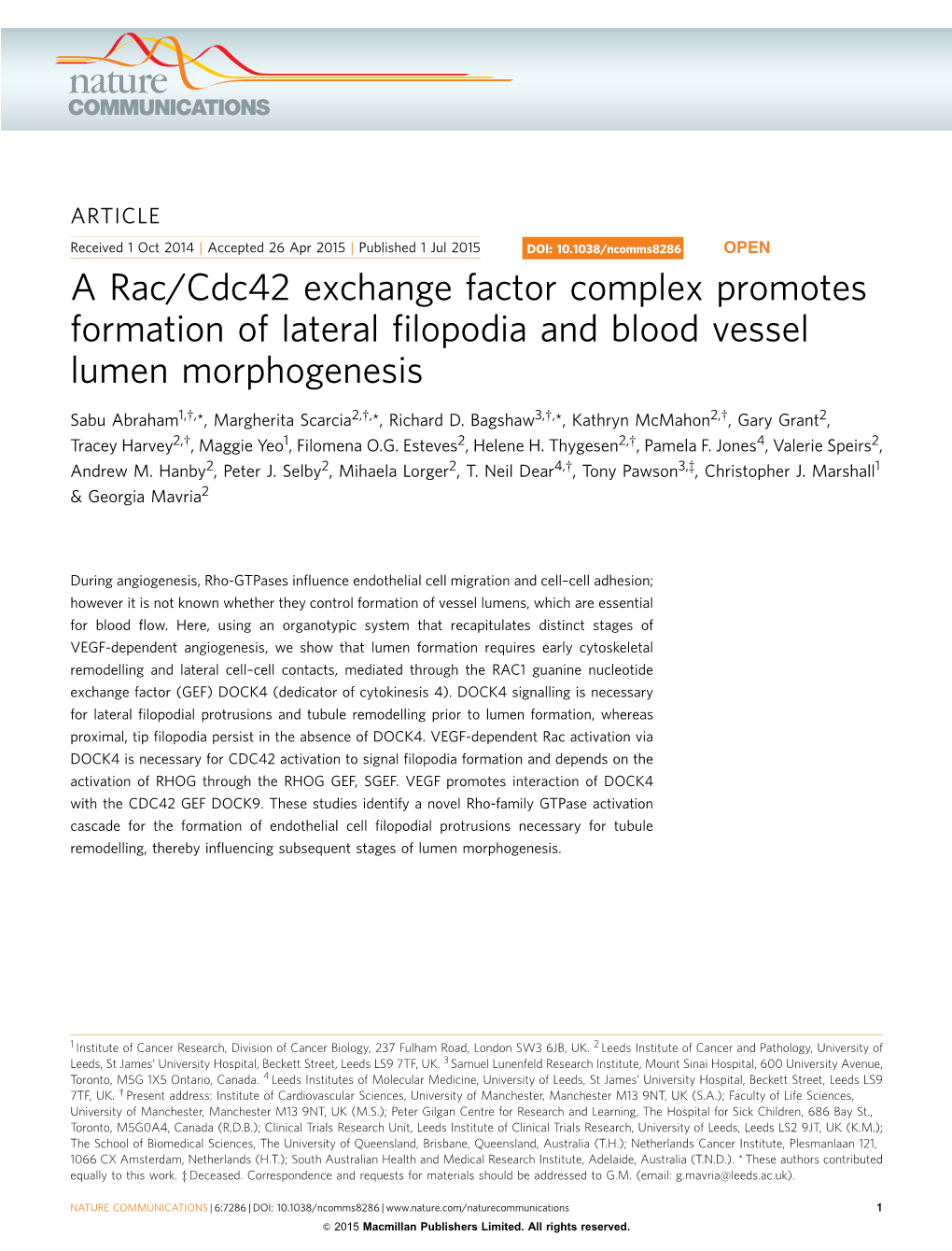 A Rac/Cdc42 Exchange Factor Complex Promotes Formation of Lateral ﬁlopodia and Blood Vessel Lumen Morphogenesis