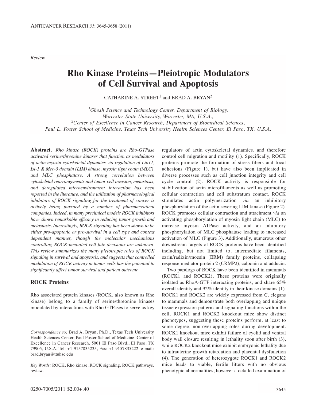 Rho Kinase Proteins—Pleiotropic Modulators of Cell Survival and Apoptosis