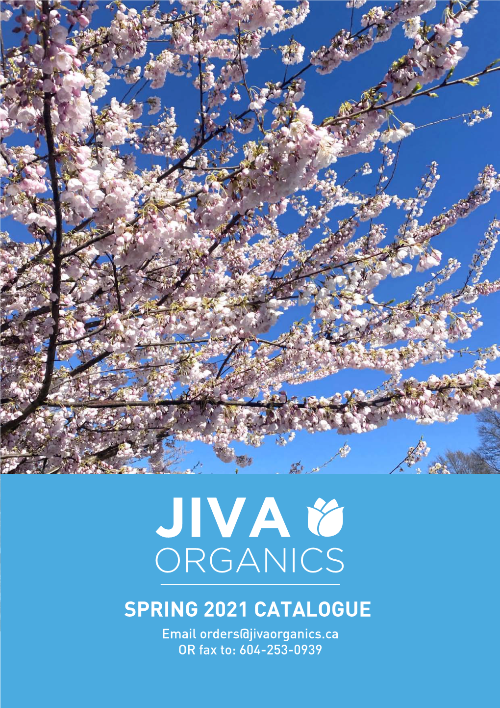 Jiva Catalogue