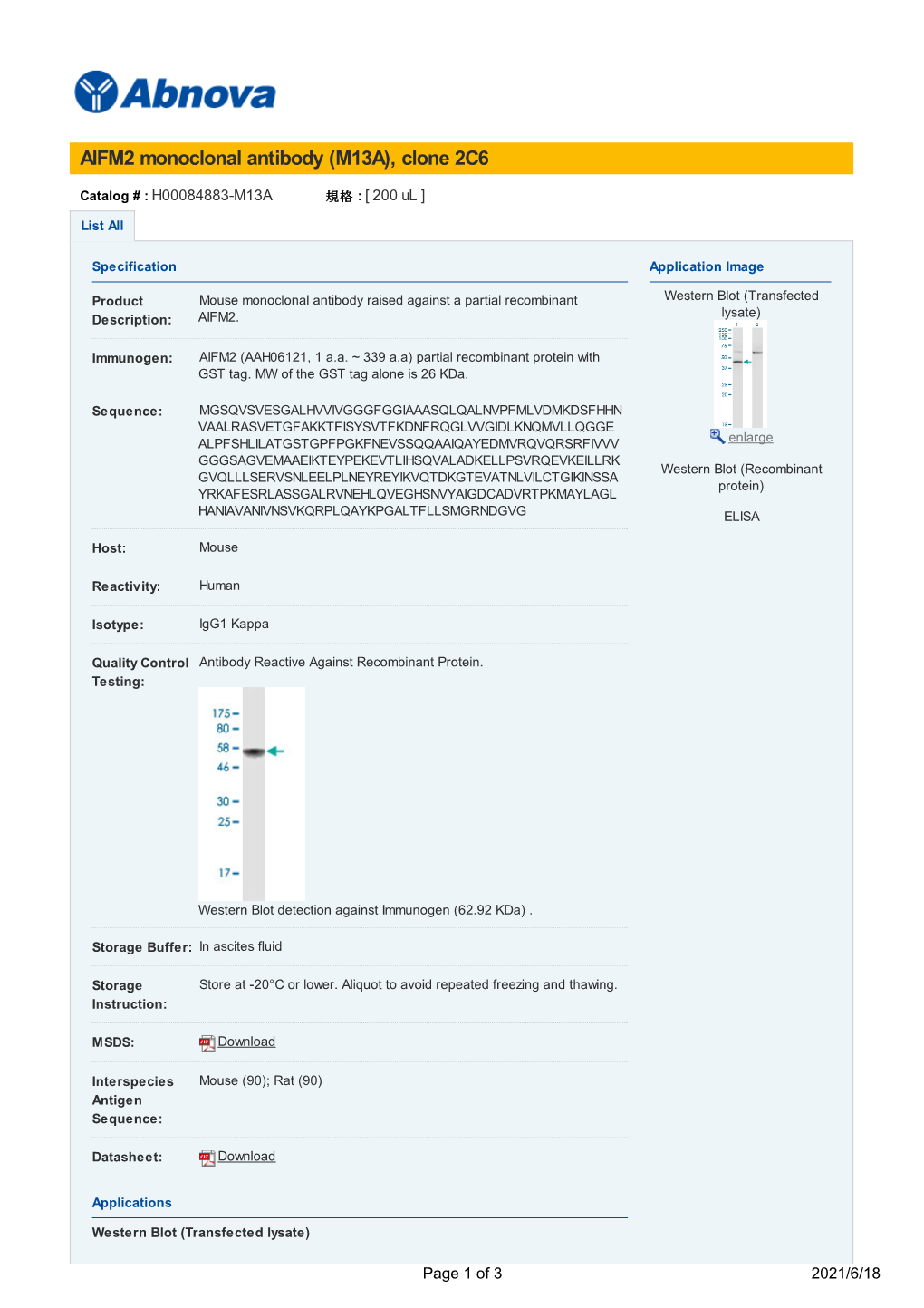 AIFM2 Monoclonal Antibody (M13A), Clone 2C6