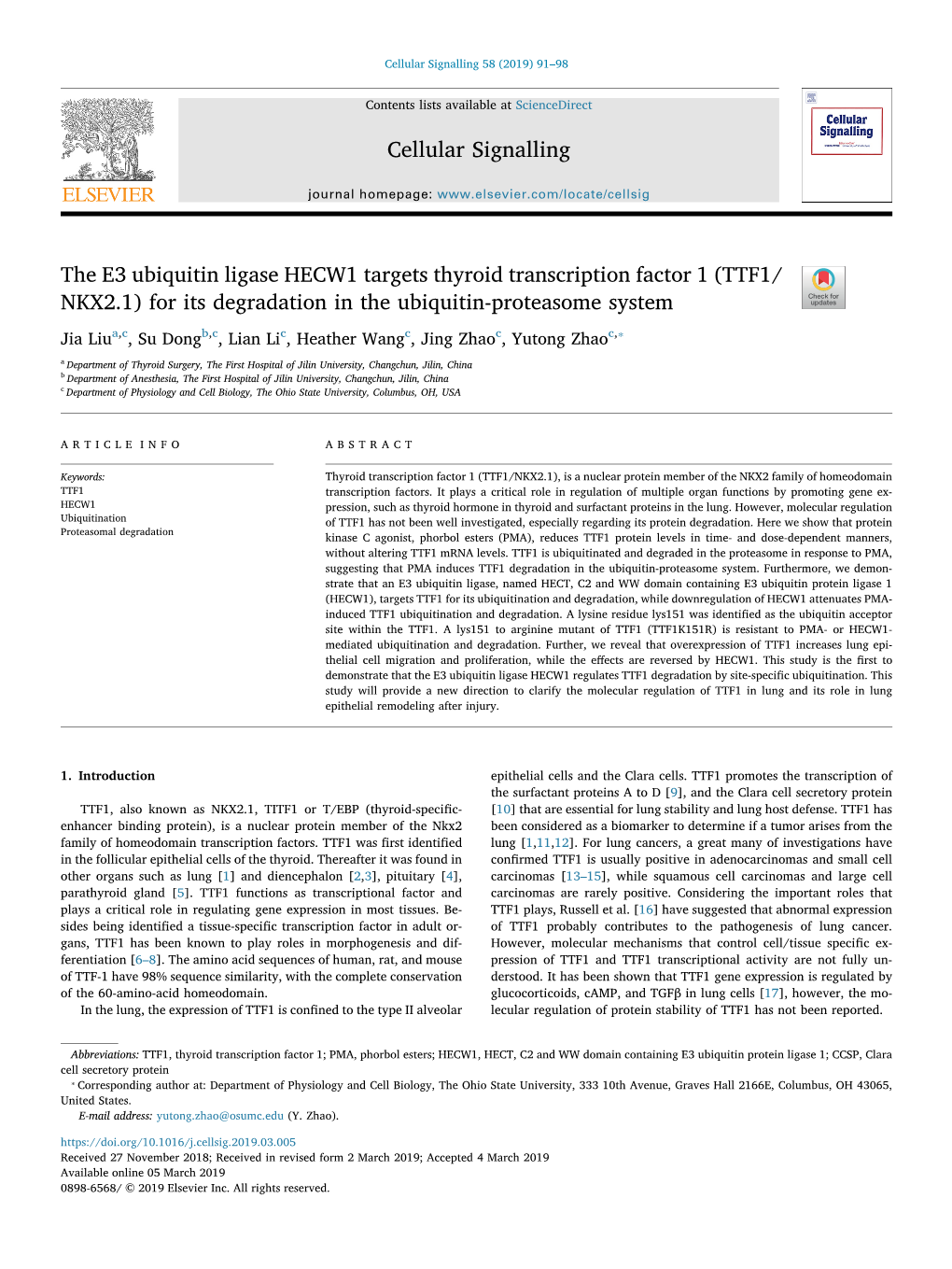 The E3 Ubiquitin Ligase HECW1 Targets Thyroid Transcription Factor 1