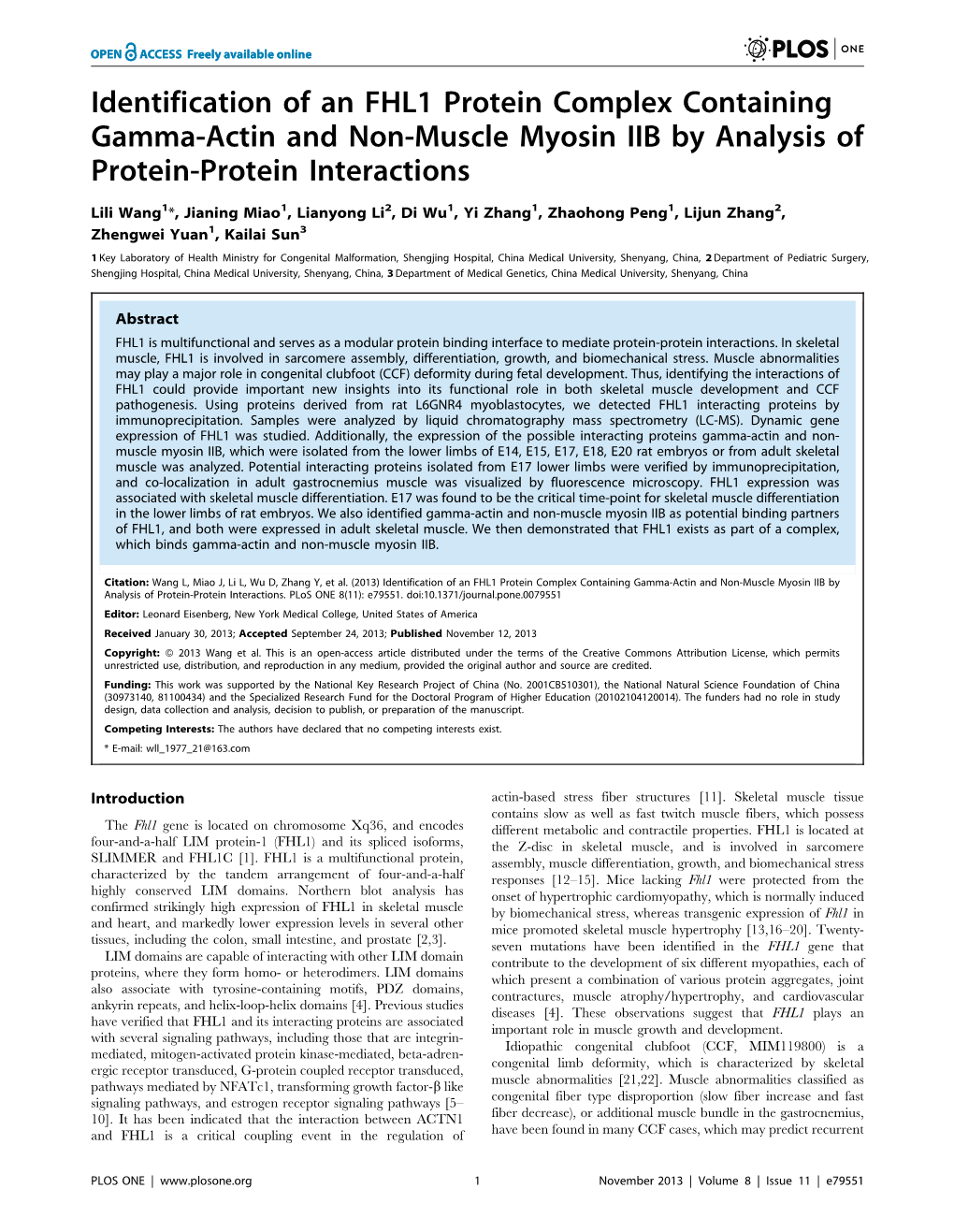 Identification of an FHL1 Protein Complex Containing Gamma-Actin and Non-Muscle Myosin IIB by Analysis of Protein-Protein Interactions