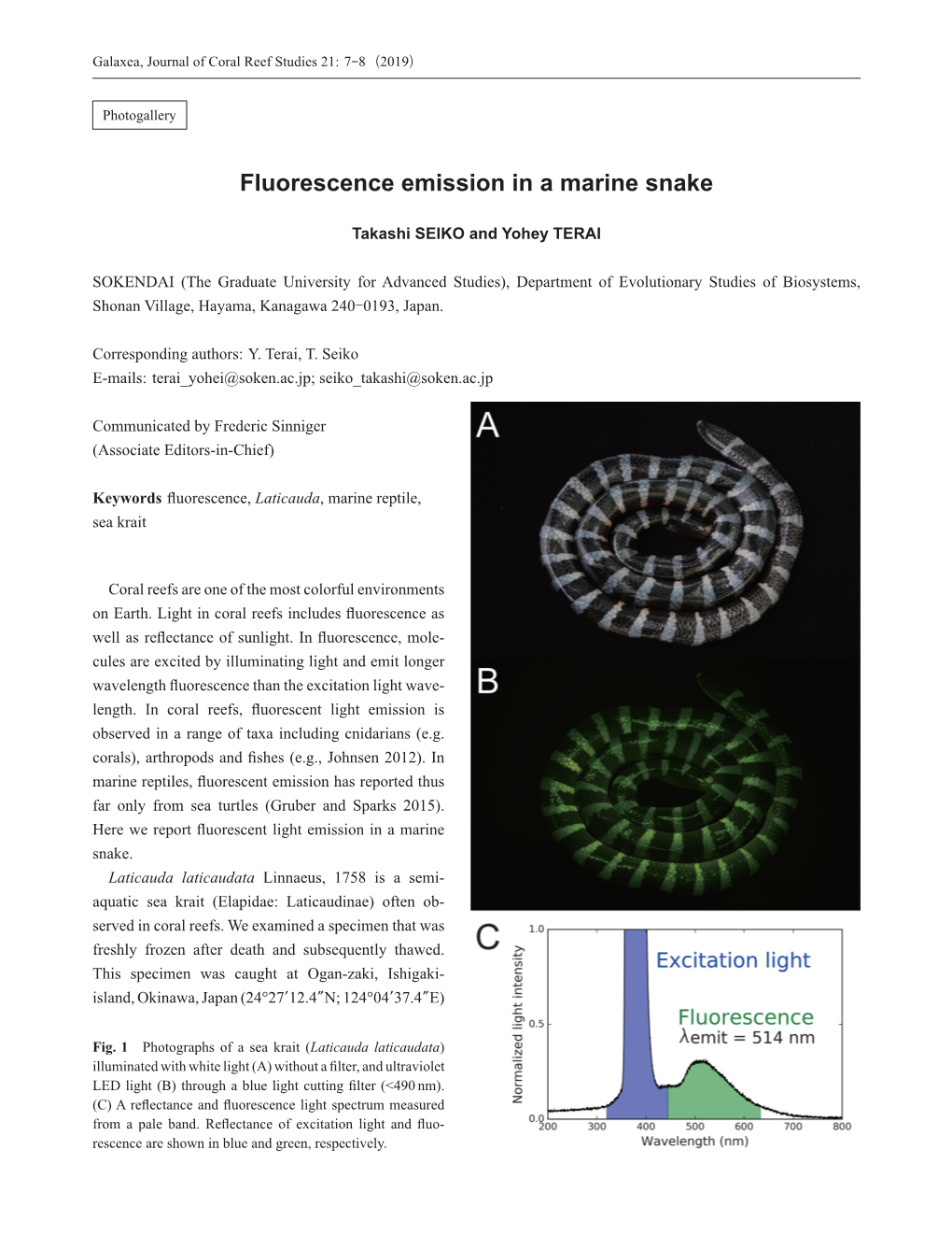 Fluorescence Emission in a Marine Snake