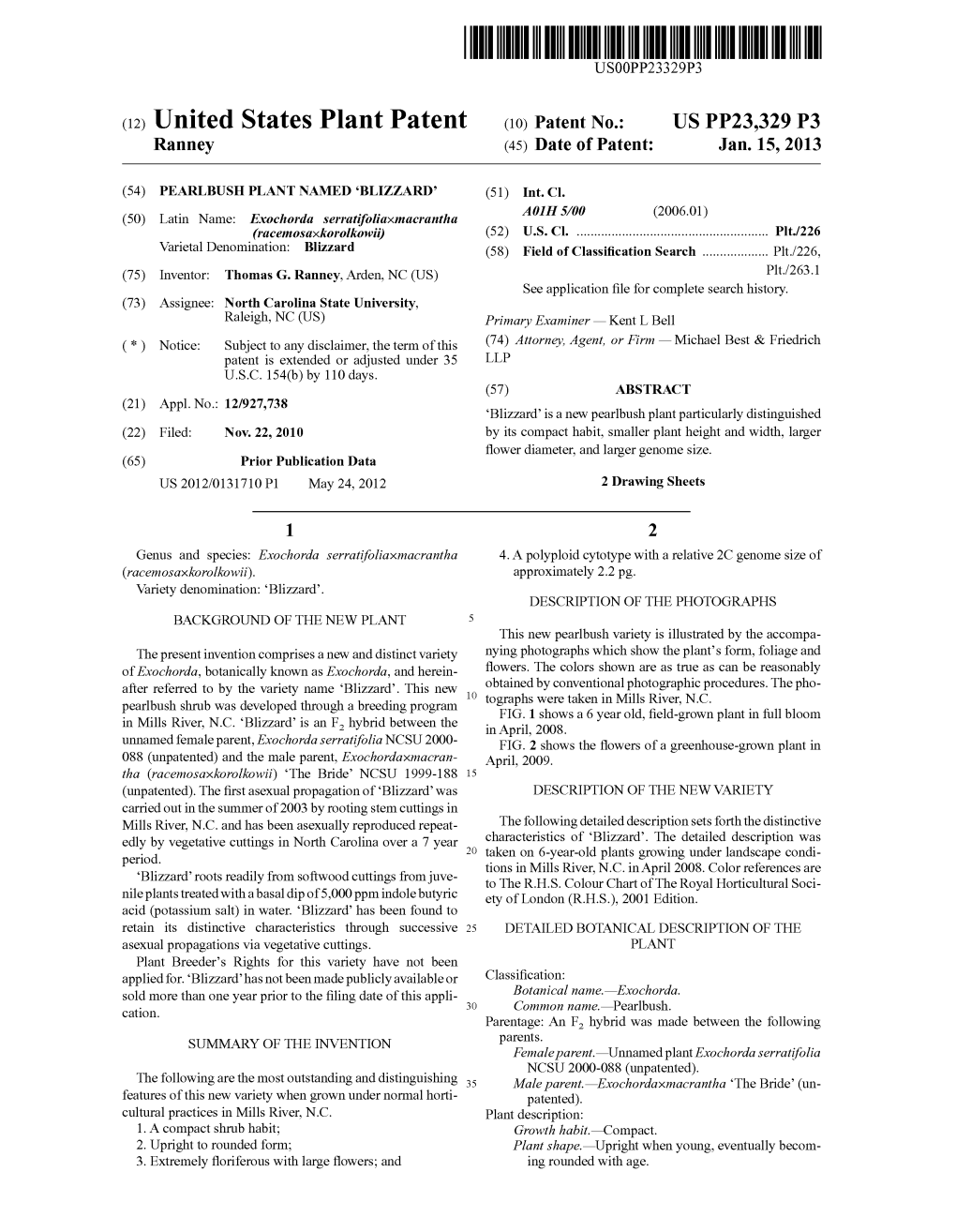 (12) United States Plant Patent (10) Patent No.: US PP23,329 P3 Ranney (45) Date of Patent: Jan