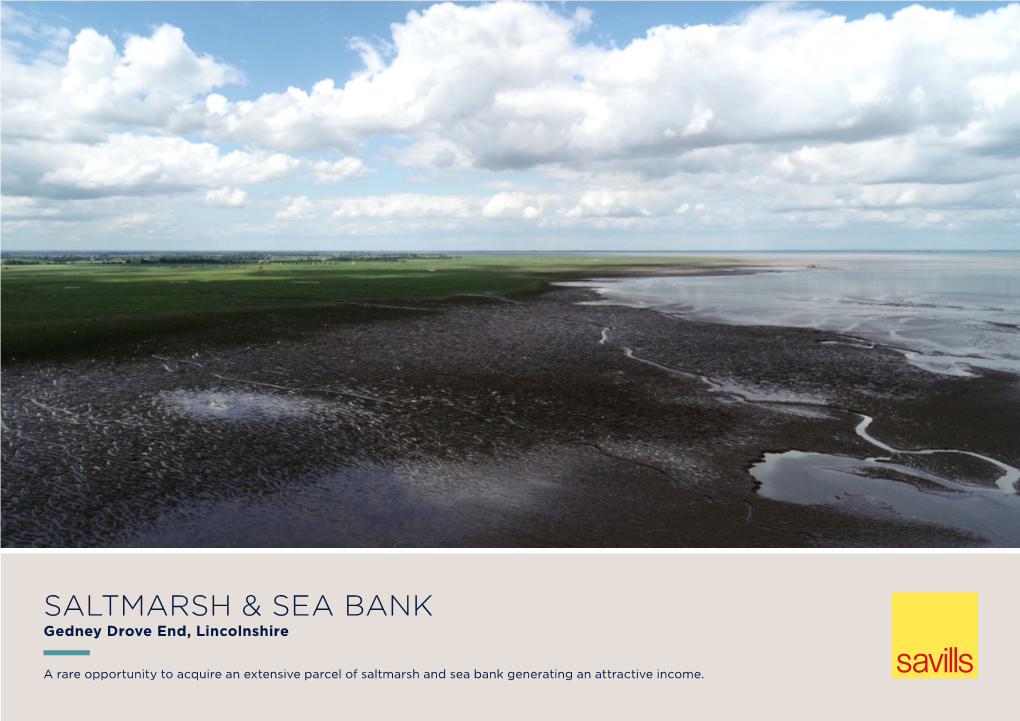 Saltmarsh & Sea Bank