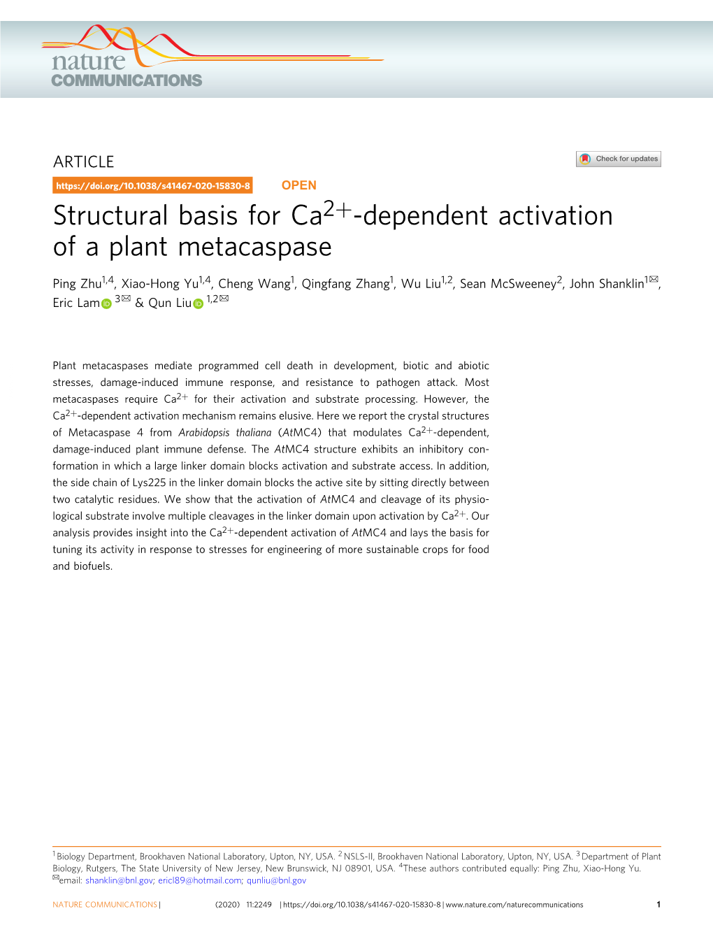 Structural Basis for Ca2+-Dependent Activation of a Plant Metacaspase