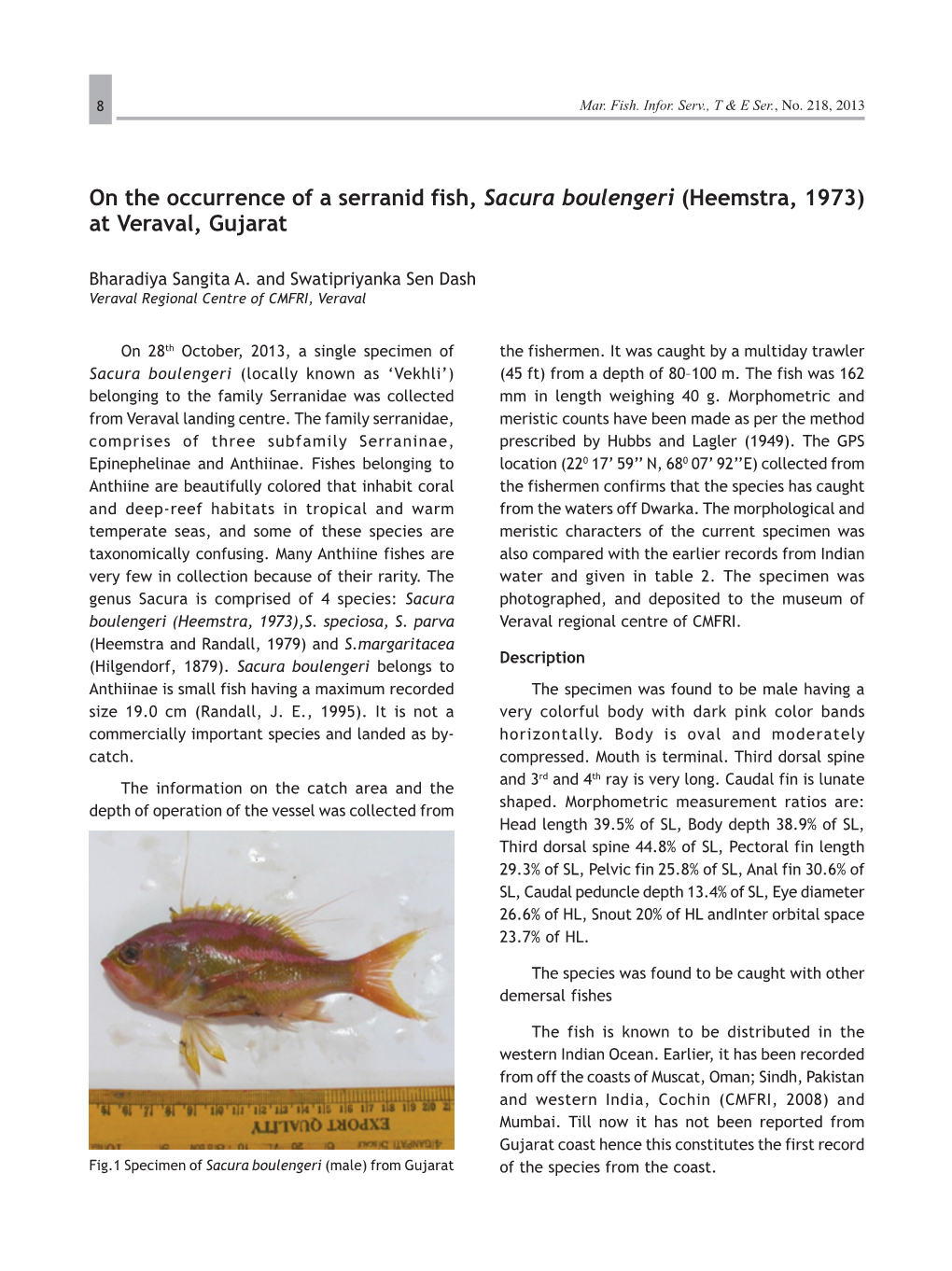 On the Occurrence of a Serranid Fish, Sacura Boulengeri (Heemstra, 1973) at Veraval, Gujarat