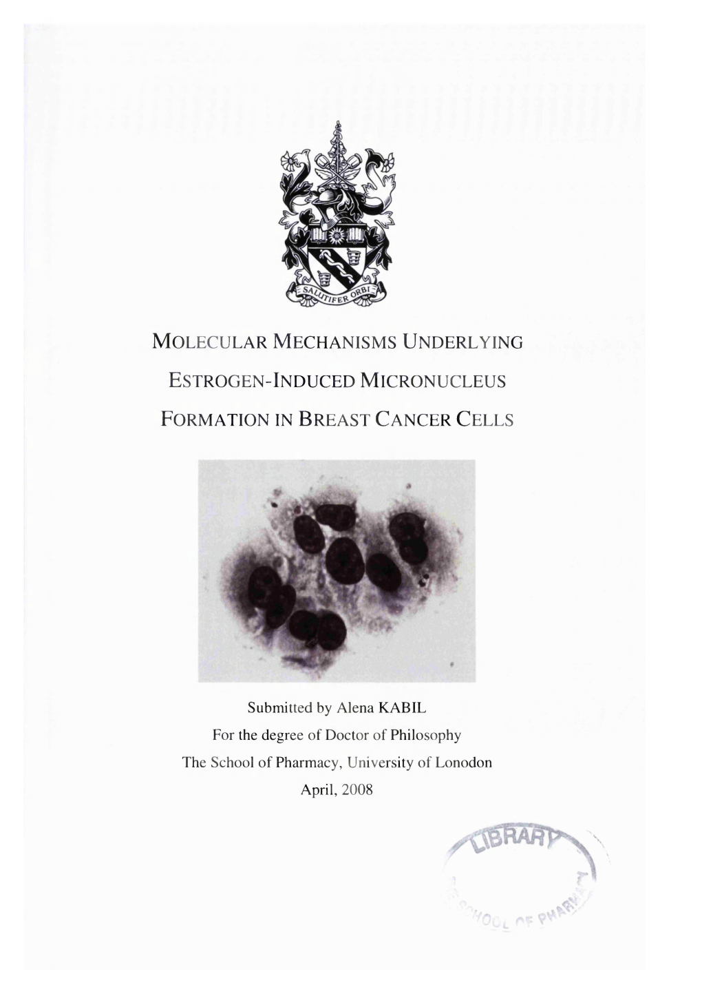 Molecular Mechanisms Underlying Estrogen-Induced Micronucleus Formation in Breast Cancer Cells