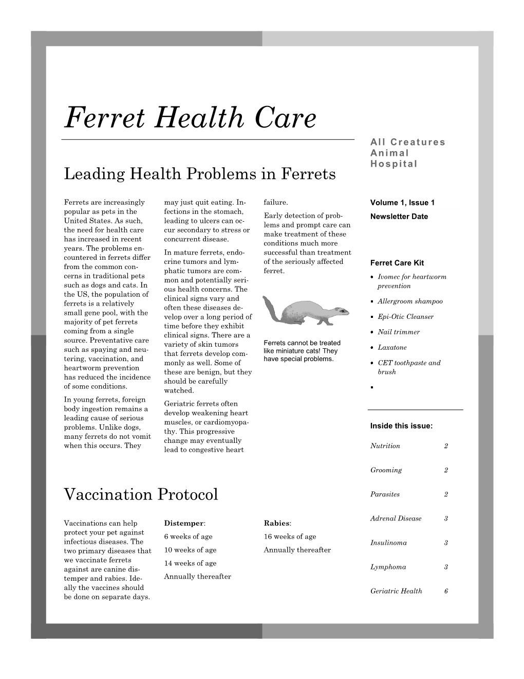 Ferret Health Care All Creatures an I M a L H O S P I T a L Leading Health Problems in Ferrets