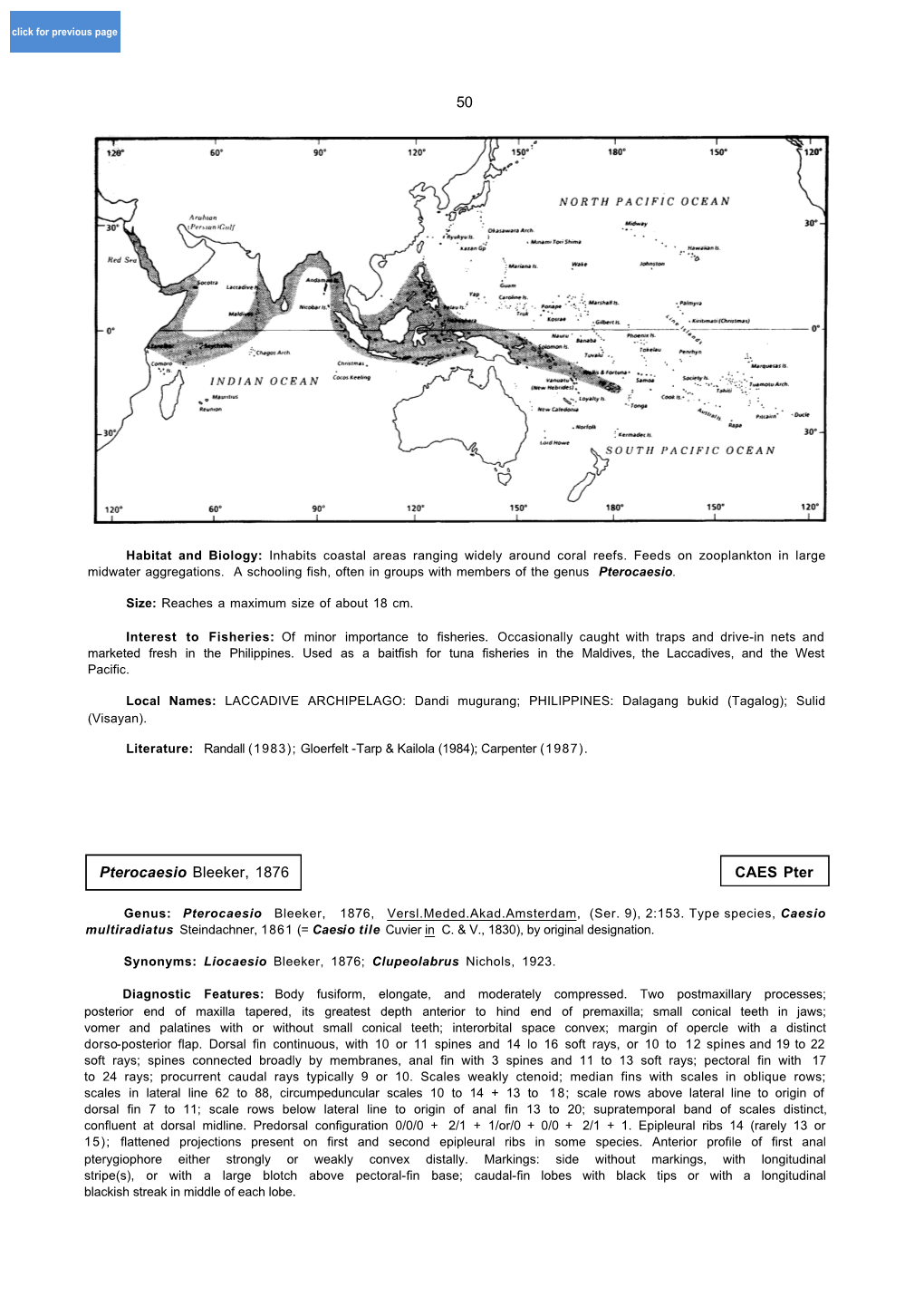 CAES Pter Pterocaesio Bleeker, 1876 50