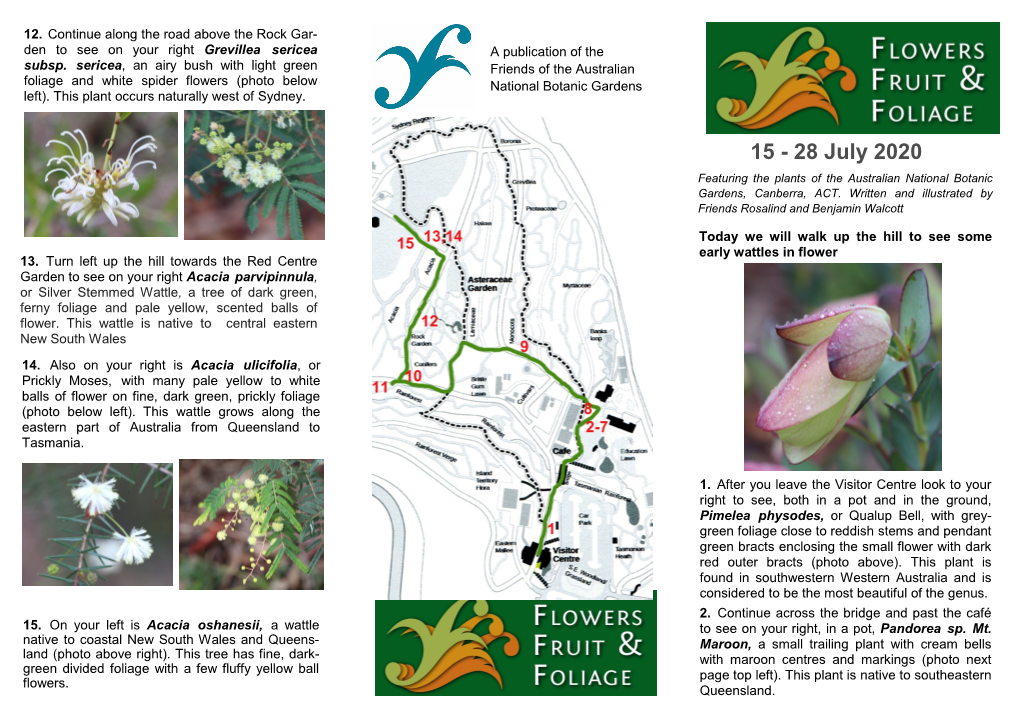 15 - 28 July 2020 Featuring the Plants of the Australian National Botanic Gardens, Canberra, ACT