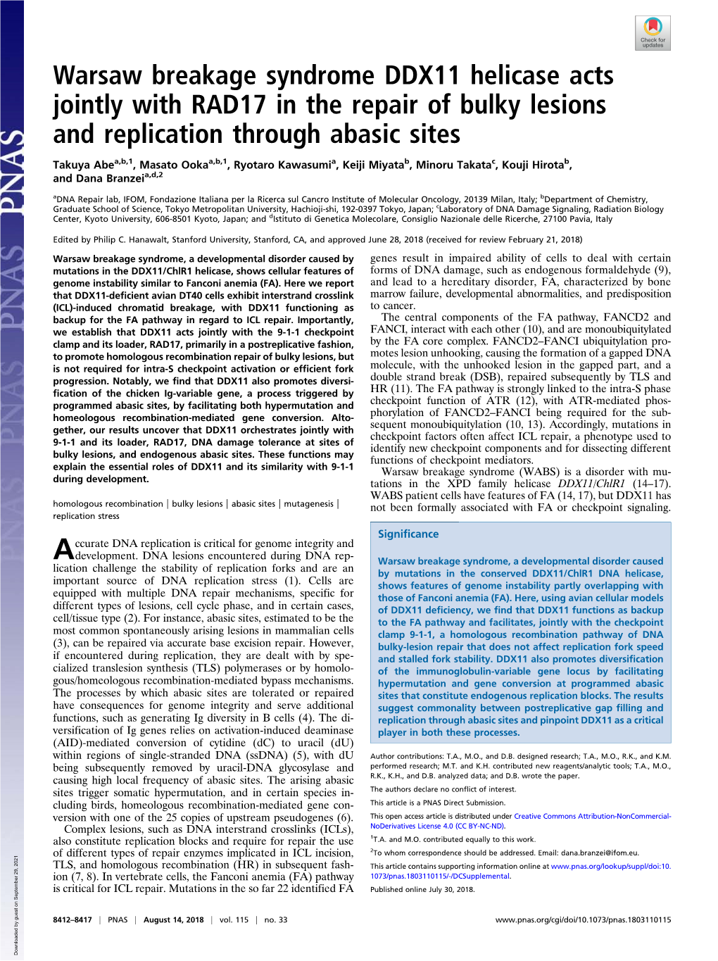 Warsaw Breakage Syndrome DDX11 Helicase Acts Jointly with RAD17 in the Repair of Bulky Lesions and Replication Through Abasic Sites