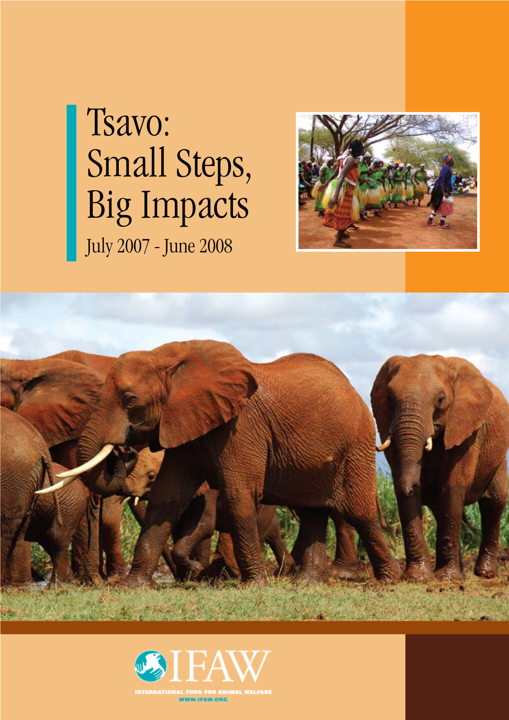 Tsavo: Small Steps, Big Impacts ©IFAW/D