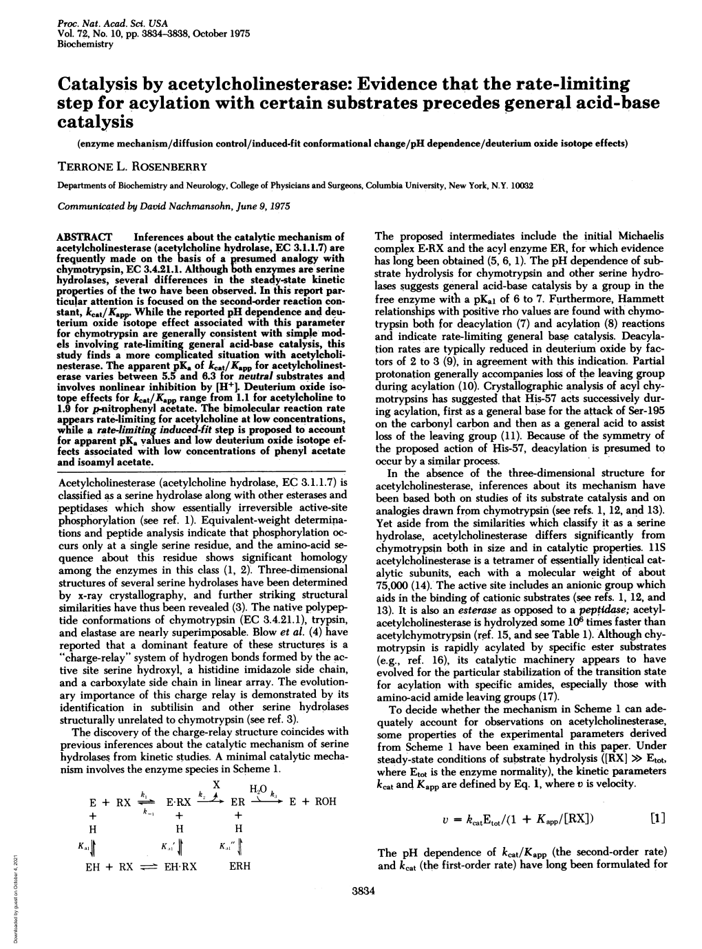 Catalysis by Acetylcholinesterase