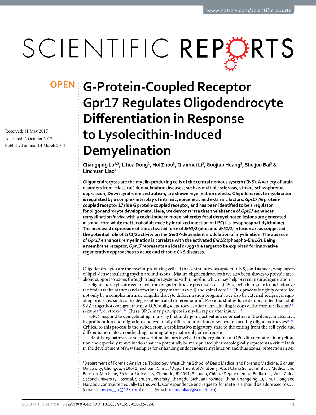 G-Protein-Coupled Receptor Gpr17 Regulates Oligodendrocyte