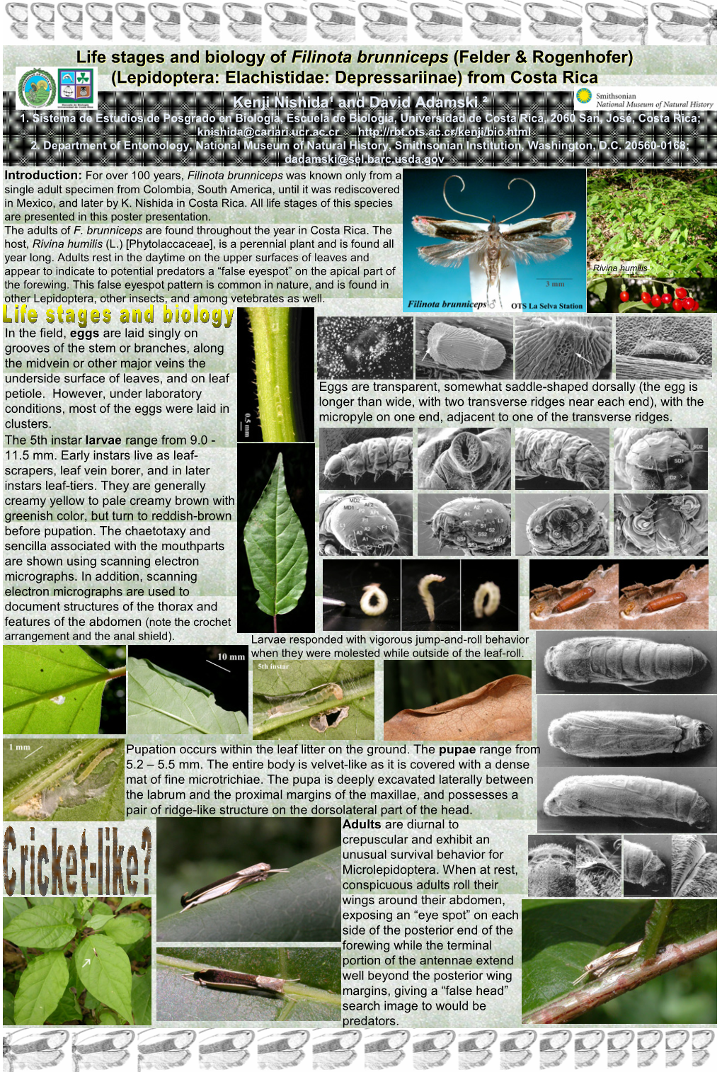 Lepidoptera: Elachistidae: Depressariinae) from Costa Rica Kenji Nishida¹ and David Adamski ² 1