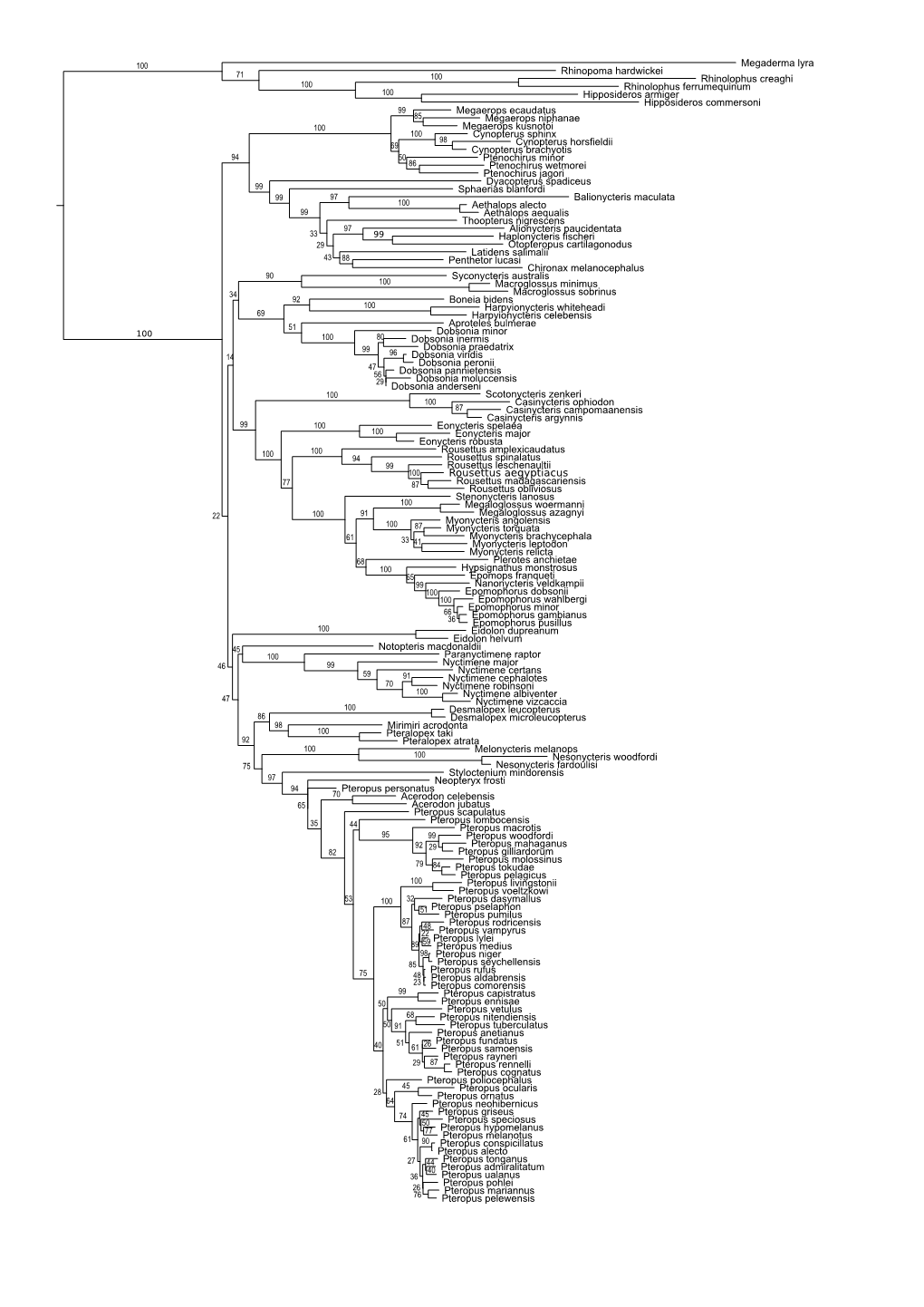 Figs1 ML Tree.Pdf