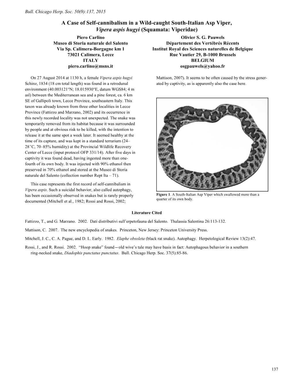 A Case of Self-Cannibalism in a Wild-Caught South-Italian Asp Viper, Vipera Aspis Hugyi (Squamata: Viperidae) Piero Carlino Olivier S