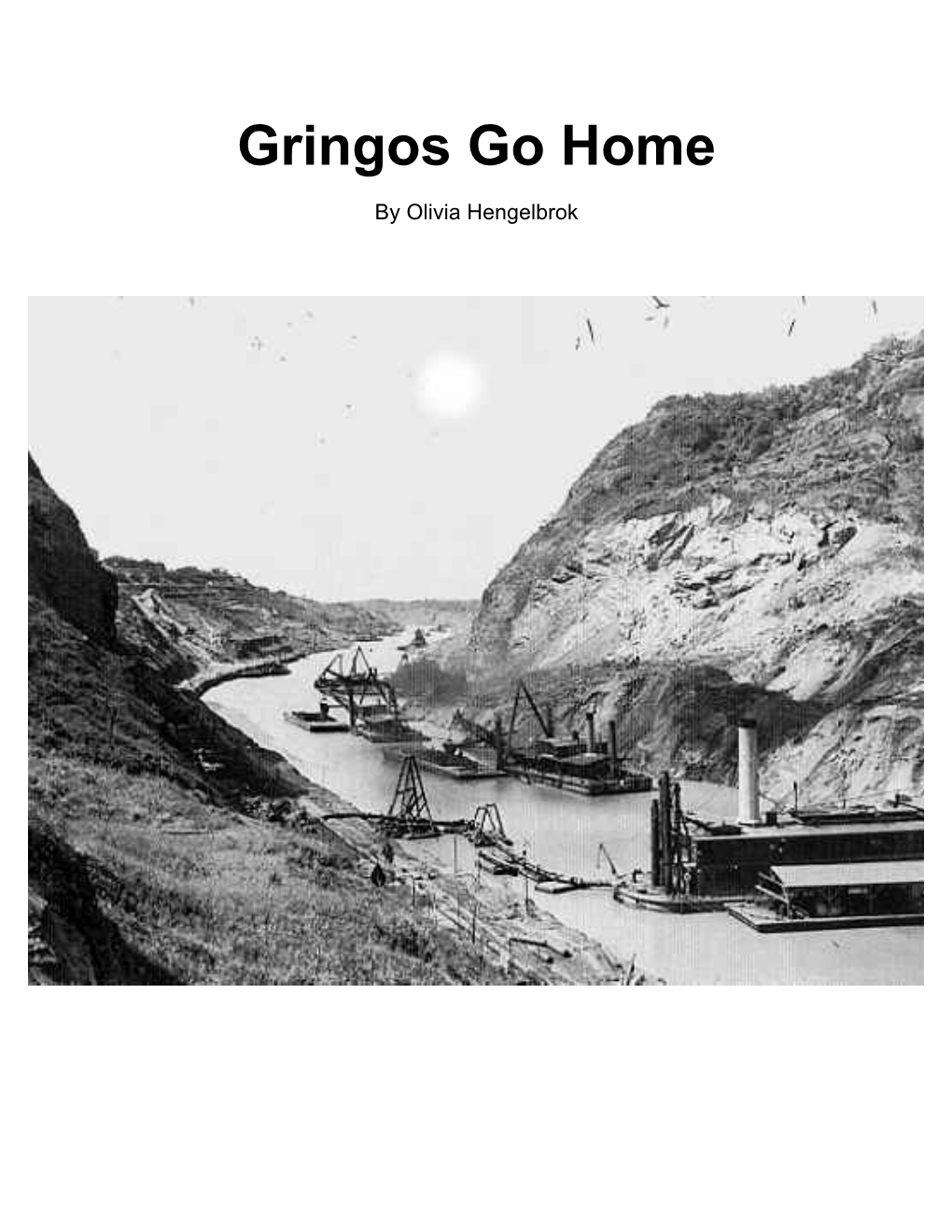 Gringos Go Home