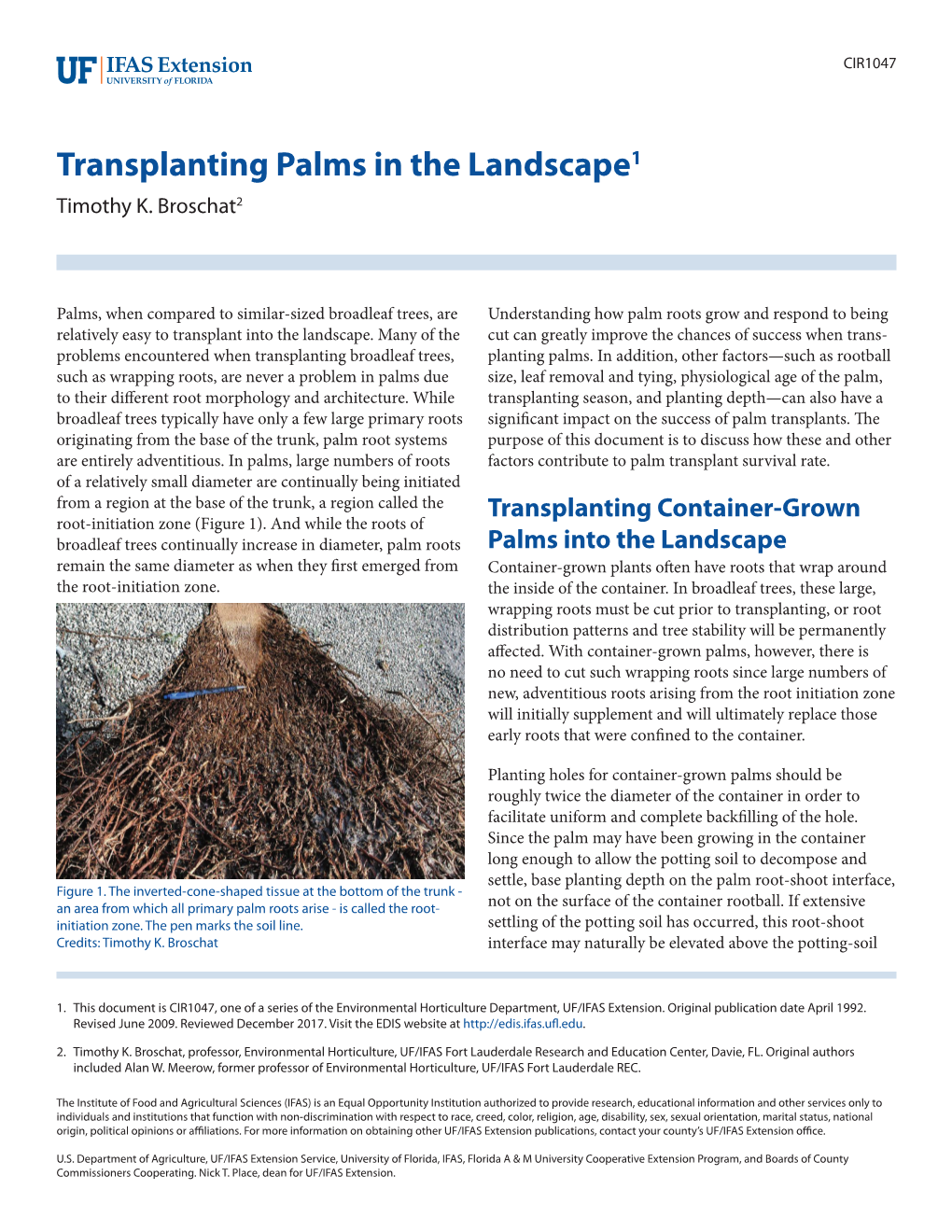 Transplanting Palms in the Landscape1 Timothy K