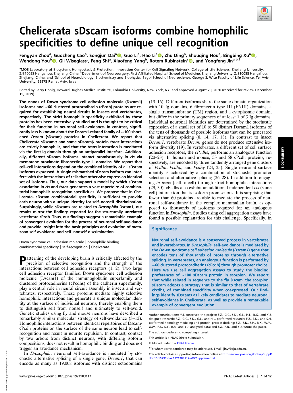 Chelicerata Sdscam Isoforms Combine Homophilic Specificities to Define Unique Cell Recognition