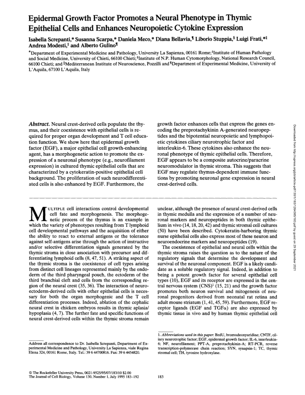 Epidermal Growth Factor Promotes a Neural Phenotype in Thymic