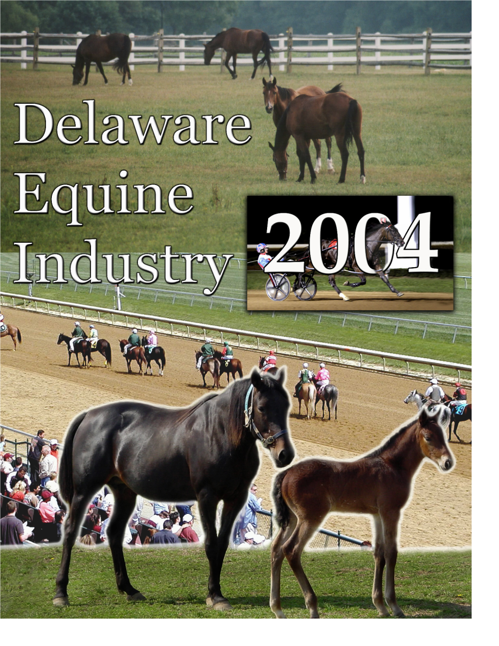 Delaware Agricultural Statistics Service, for His Hard Work in Designing, Implementing, Evaluating This Study and Preparing It for Publication