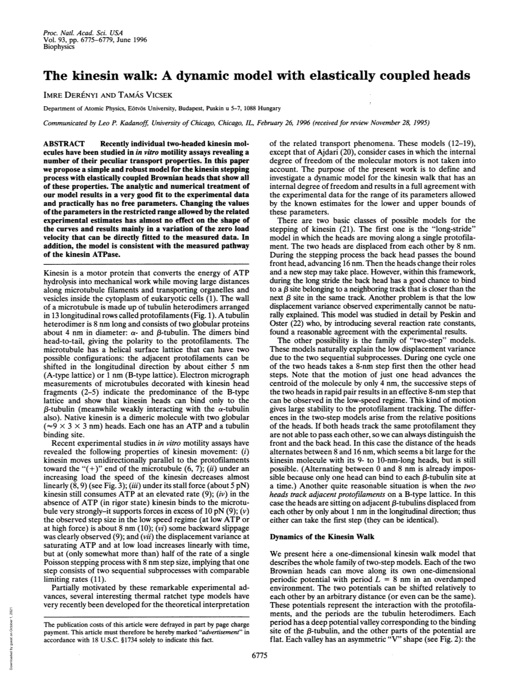 The Kinesin Walk: a Dynamic Model with Elastically Coupled Heads