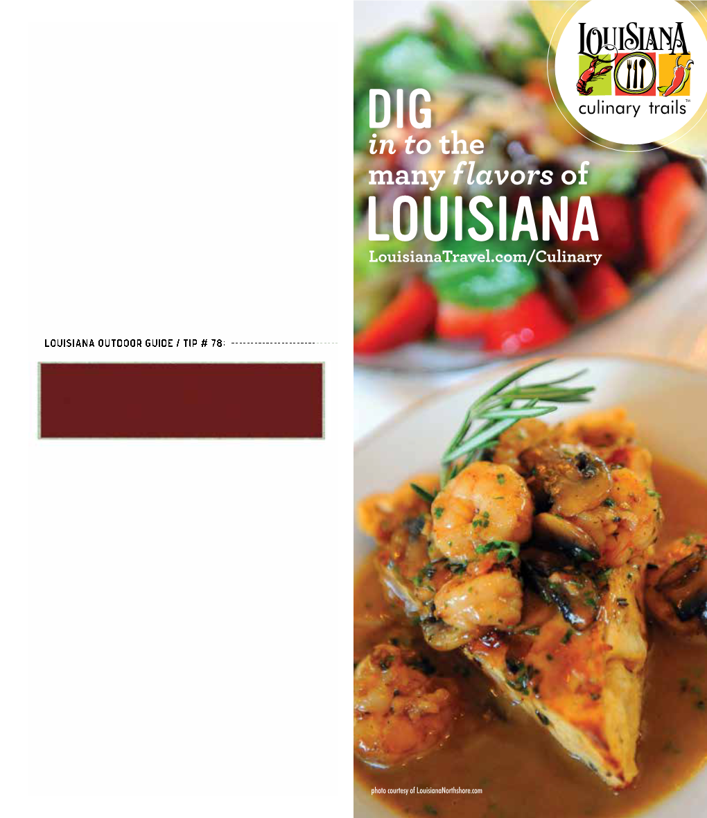 Culinary Trails Brochure