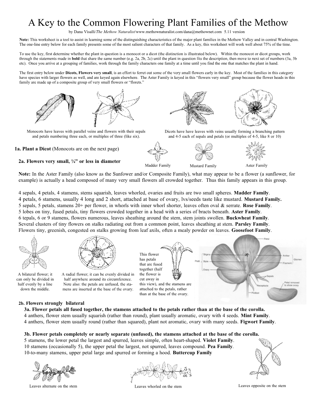 Key to the Common Flowering Plant Families of the Methow