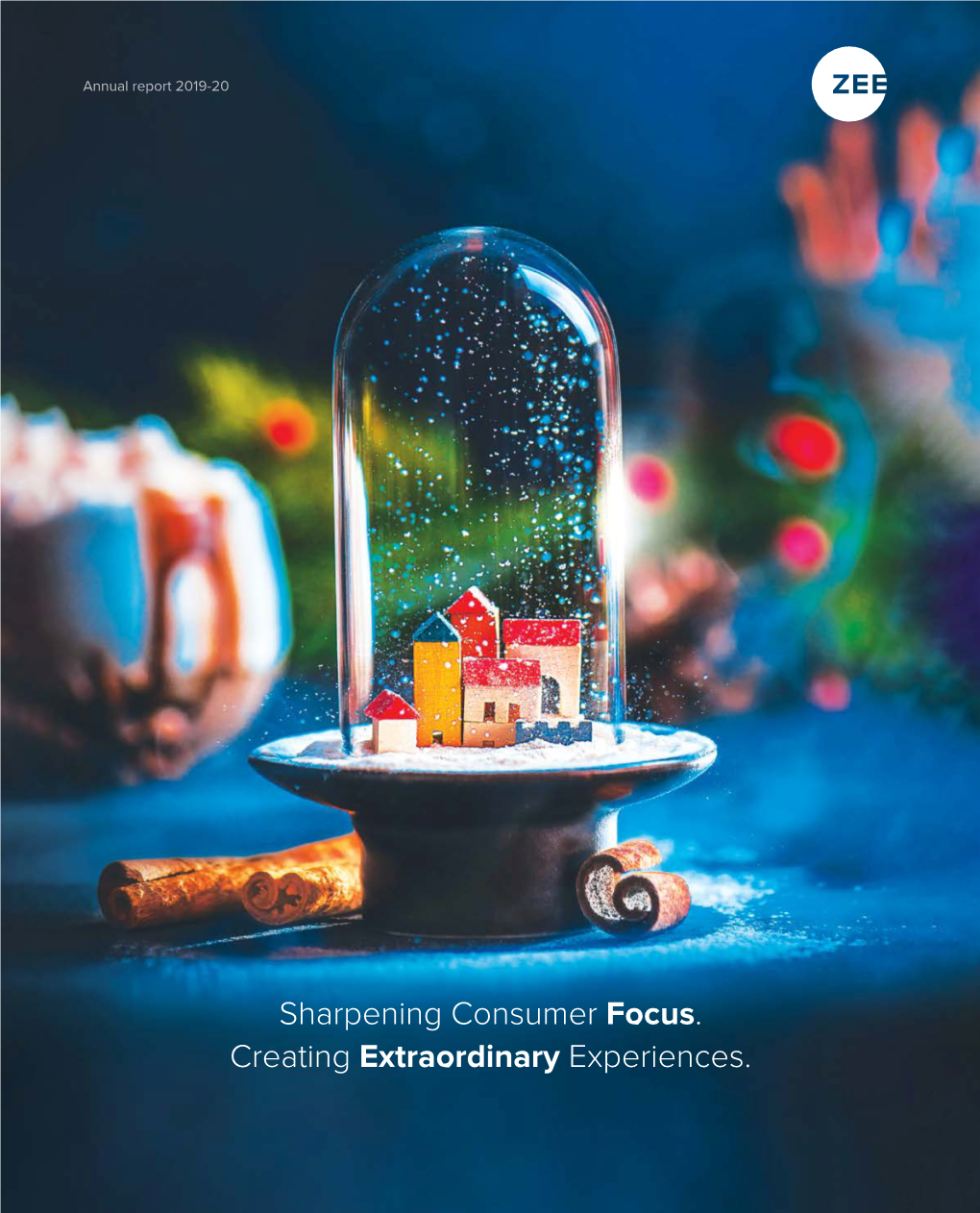 Sharpening Consumer Focus. Creating Extraordinary Experiences. ANNUAL REPORT 2019-20 CORPORATE OVERVIEW STATUTORY REPORTS FINANCIAL STATEMENTS PAGE NO